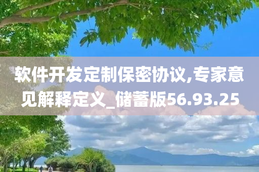 软件开发定制保密协议,专家意见解释定义_储蓄版56.93.25