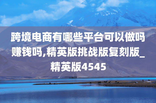 跨境电商有哪些平台可以做吗赚钱吗,精英版挑战版复刻版_精英版4545