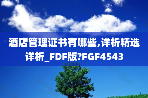 酒店管理证书有哪些,详析精选详析_FDF版?FGF4543