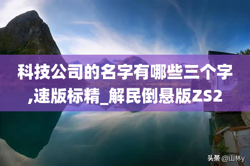 科技公司的名字有哪些三个字,速版标精_解民倒悬版ZS2