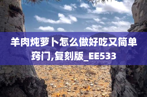 羊肉炖萝卜怎么做好吃又简单窍门,复刻版_EE533