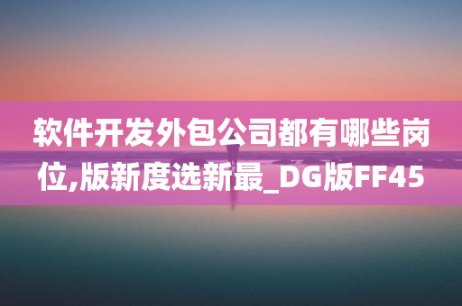 软件开发外包公司都有哪些岗位,版新度选新最_DG版FF45