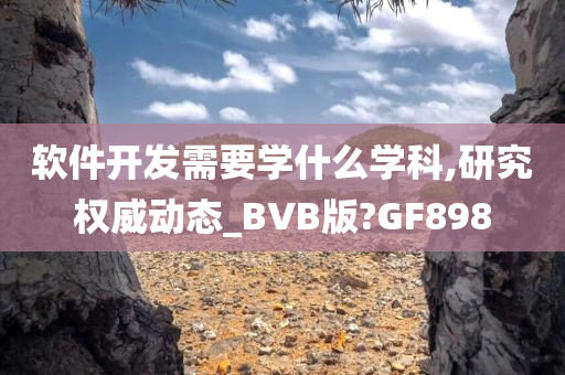 软件开发需要学什么学科,研究权威动态_BVB版?GF898