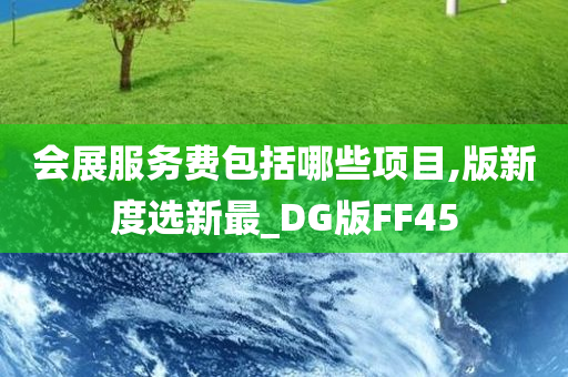 会展服务费包括哪些项目,版新度选新最_DG版FF45