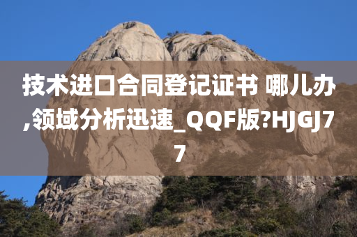 技术进口合同登记证书 哪儿办,领域分析迅速_QQF版?HJGJ77