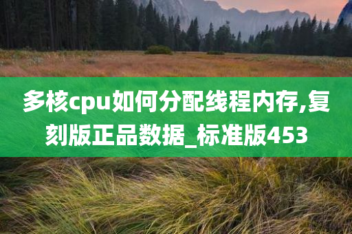 多核cpu如何分配线程内存,复刻版正品数据_标准版453