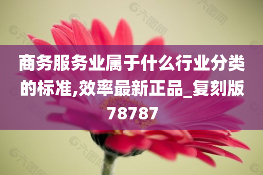 商务服务业属于什么行业分类的标准,效率最新正品_复刻版78787