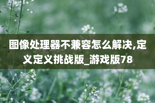 图像处理器不兼容怎么解决,定义定义挑战版_游戏版78