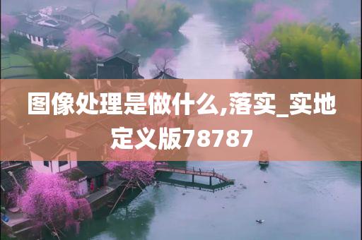 图像处理是做什么,落实_实地定义版78787