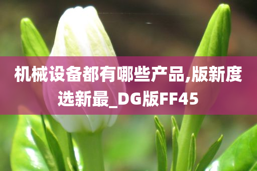 机械设备都有哪些产品,版新度选新最_DG版FF45