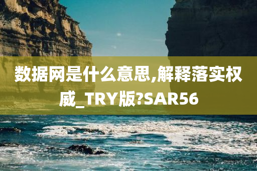 数据网是什么意思,解释落实权威_TRY版?SAR56