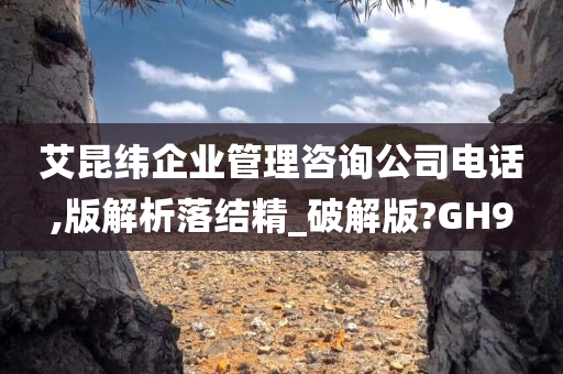 艾昆纬企业管理咨询公司电话,版解析落结精_破解版?GH9