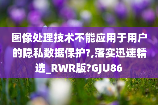 图像处理技术不能应用于用户的隐私数据保护?,落实迅速精选_RWR版?GJU86