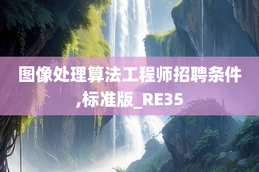 图像处理算法工程师招聘条件,标准版_RE35