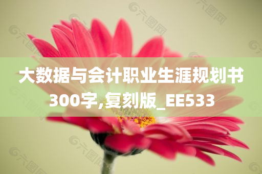 大数据与会计职业生涯规划书300字,复刻版_EE533