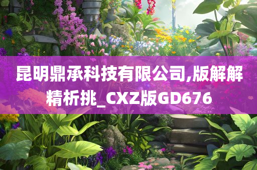 昆明鼎承科技有限公司,版解解精析挑_CXZ版GD676