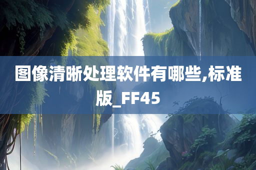 图像清晰处理软件有哪些,标准版_FF45