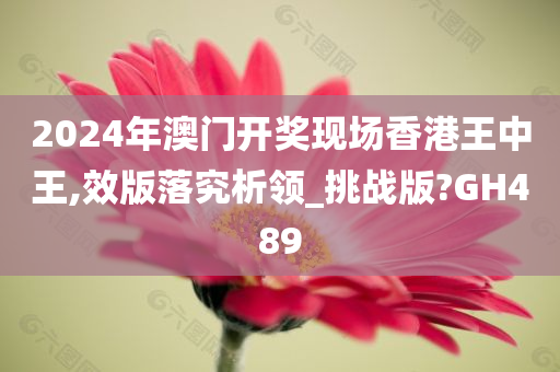 2024年澳门开奖现场香港王中王,效版落究析领_挑战版?GH489