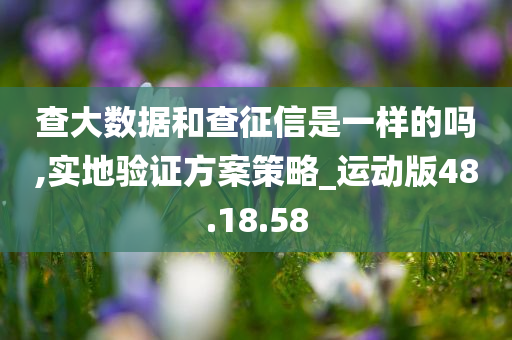 查大数据和查征信是一样的吗,实地验证方案策略_运动版48.18.58