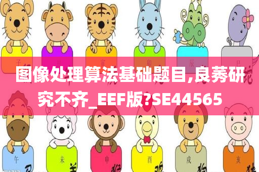 图像处理算法基础题目,良莠研究不齐_EEF版?SE44565