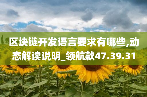 区块链开发语言要求有哪些,动态解读说明_领航款47.39.31