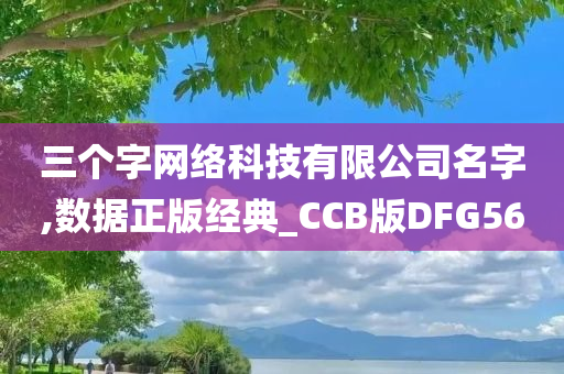 三个字网络科技有限公司名字,数据正版经典_CCB版DFG56