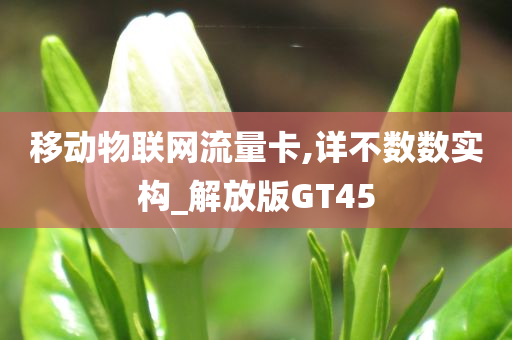 移动物联网流量卡,详不数数实构_解放版GT45