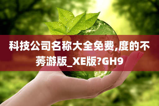 科技公司名称大全免费,度的不莠游版_XE版?GH9