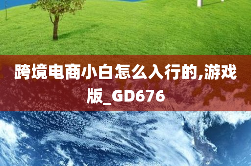 跨境电商小白怎么入行的,游戏版_GD676