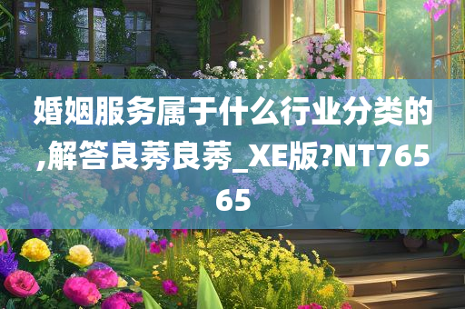 婚姻服务属于什么行业分类的,解答良莠良莠_XE版?NT76565