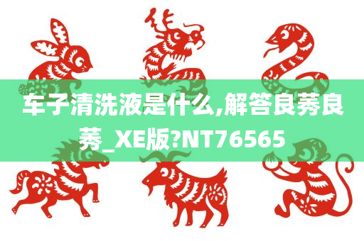 车子清洗液是什么,解答良莠良莠_XE版?NT76565