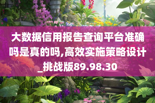 大数据信用报告查询平台准确吗是真的吗,高效实施策略设计_挑战版89.98.30