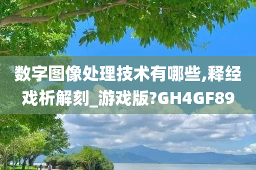 数字图像处理技术有哪些,释经戏析解刻_游戏版?GH4GF89