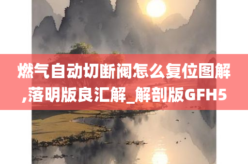 燃气自动切断阀怎么复位图解,落明版良汇解_解剖版GFH5