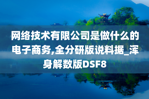 网络技术有限公司是做什么的电子商务,全分研版说料据_浑身解数版DSF8