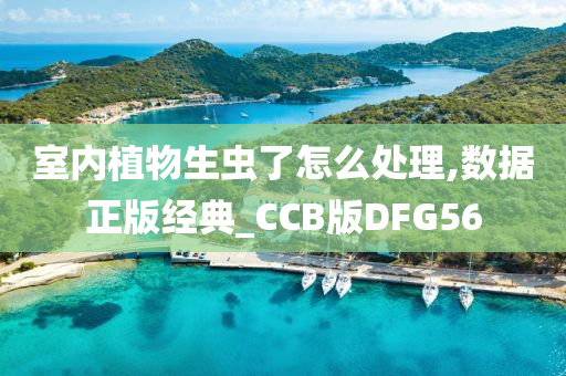 室内植物生虫了怎么处理,数据正版经典_CCB版DFG56