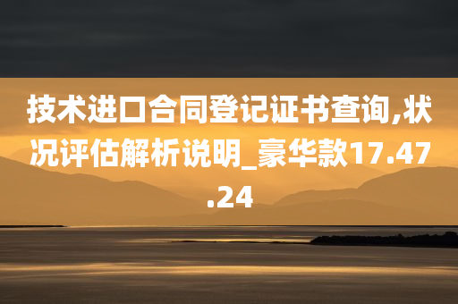 技术进口合同登记证书查询,状况评估解析说明_豪华款17.47.24