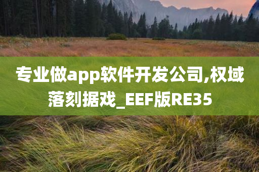 专业做app软件开发公司,权域落刻据戏_EEF版RE35