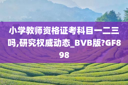 小学教师资格证考科目一二三吗,研究权威动态_BVB版?GF898