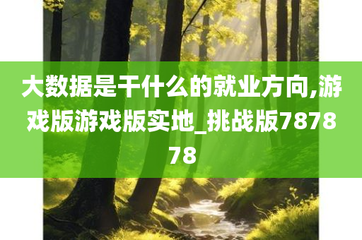 大数据是干什么的就业方向,游戏版游戏版实地_挑战版787878