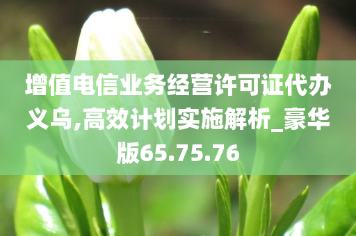 增值电信业务经营许可证代办义乌,高效计划实施解析_豪华版65.75.76