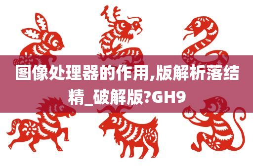 图像处理器的作用,版解析落结精_破解版?GH9