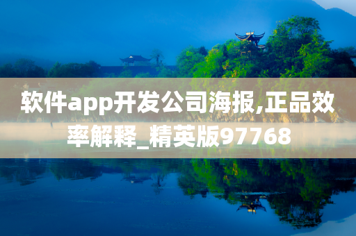 软件app开发公司海报,正品效率解释_精英版97768