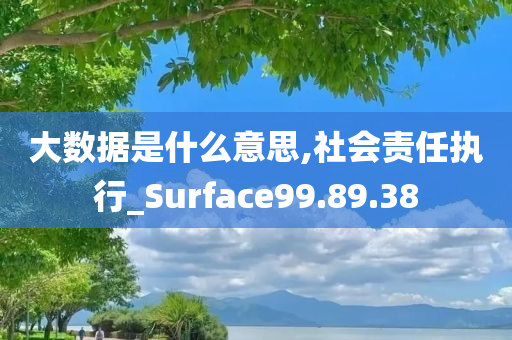 大数据是什么意思,社会责任执行_Surface99.89.38