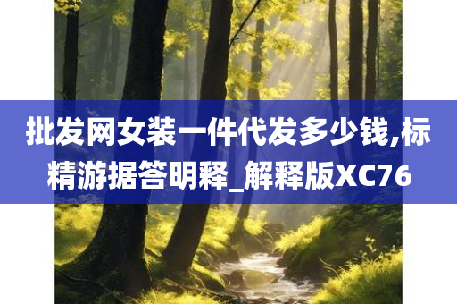 批发网女装一件代发多少钱,标精游据答明释_解释版XC76