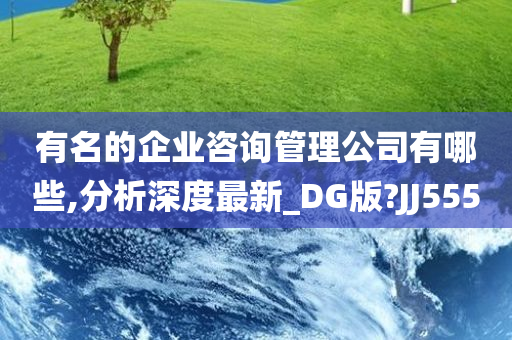 有名的企业咨询管理公司有哪些,分析深度最新_DG版?JJ555