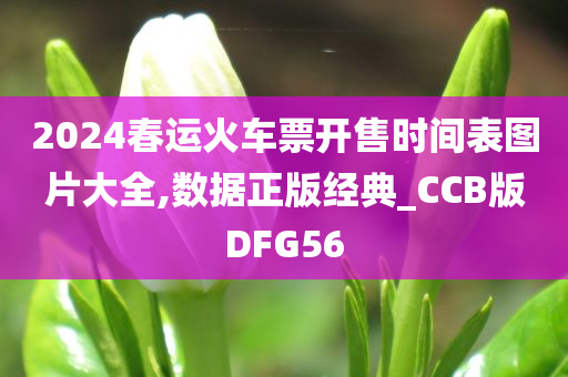 2024春运火车票开售时间表图片大全,数据正版经典_CCB版DFG56