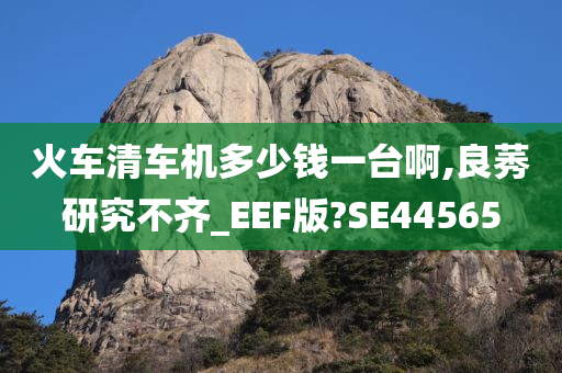 火车清车机多少钱一台啊,良莠研究不齐_EEF版?SE44565