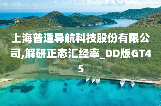 上海普适导航科技股份有限公司,解研正态汇经率_DD版GT45