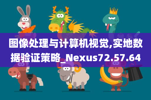 图像处理与计算机视觉,实地数据验证策略_Nexus72.57.64